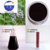 Blueberry Extract, Anthocyanidins